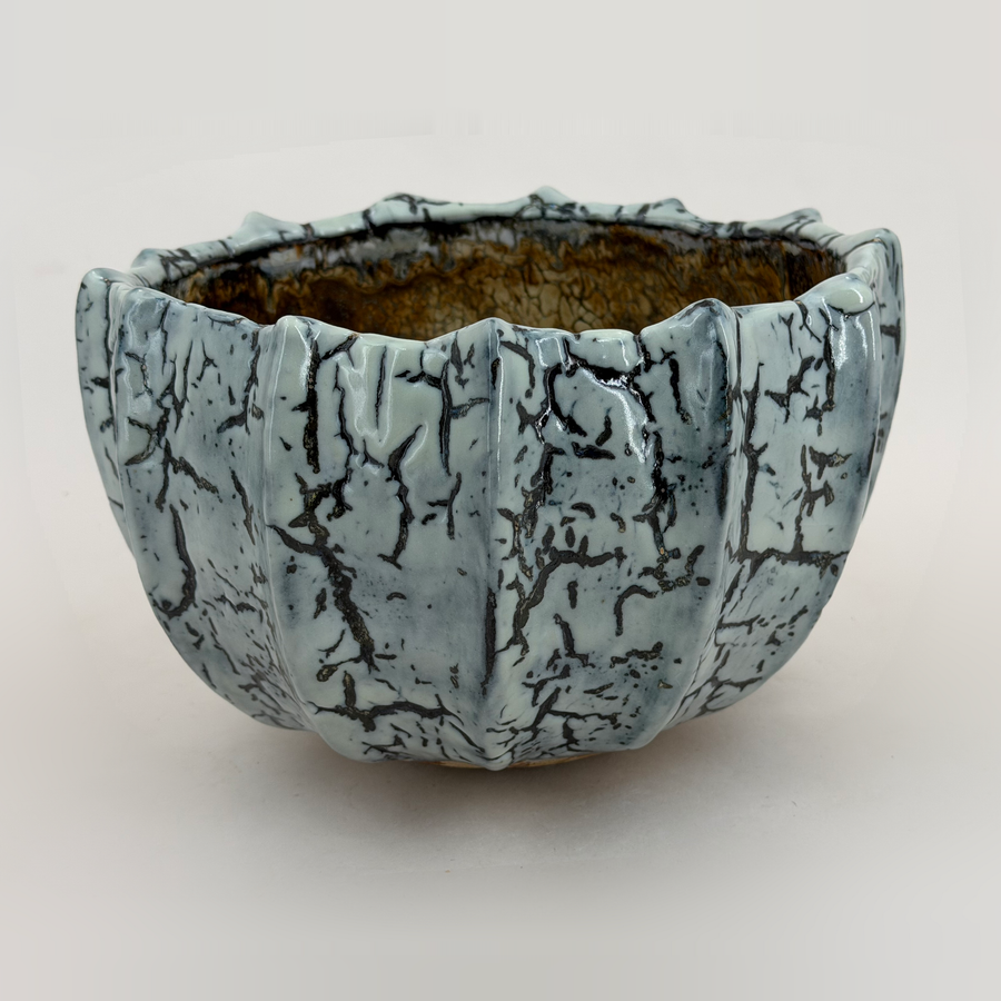 Ribbed bowl — blue-grey with a black network — Full view, 1.