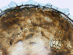 Gerippte Schale — Blaugrau mit schwarzem Netz — Detail der Glasur, 7.