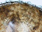 Gerippte Schale — Blaugrau mit schwarzem Netz — Detail der Glasur, 5.
