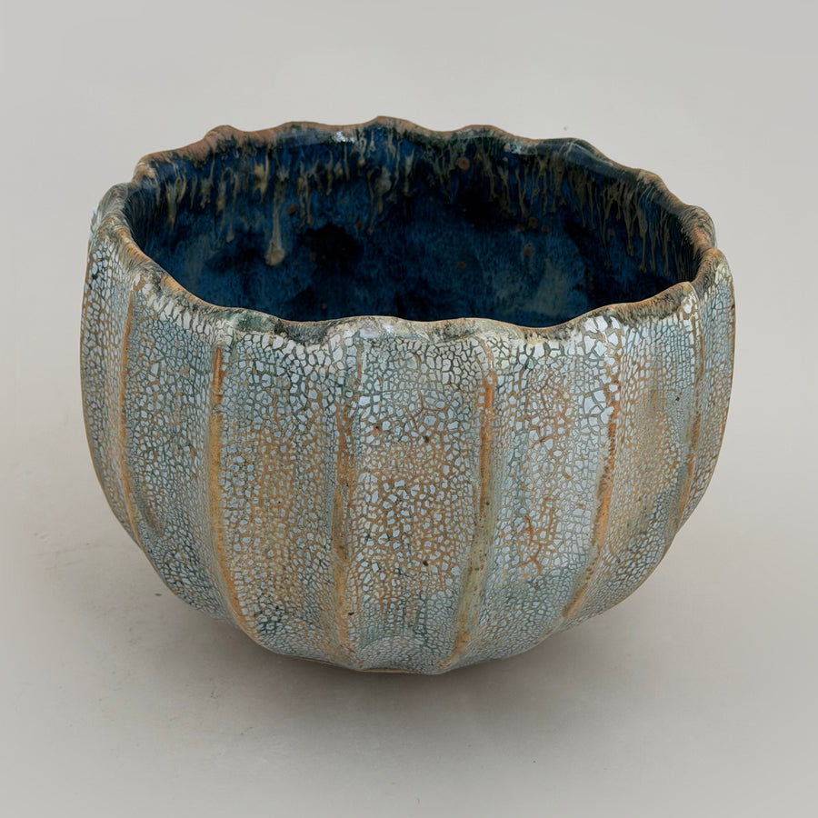 Gerippte Schale — Hellblau mit blauem Inneren — Gesamtansicht, 1.