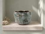Ambientazione creata con IA : Chawan verde grigio con reticolo nero, in una nicchia.