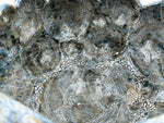 Cuenco grande de formas abombadas — gris azulado y trama crema — Detalle del esmalte, 9.