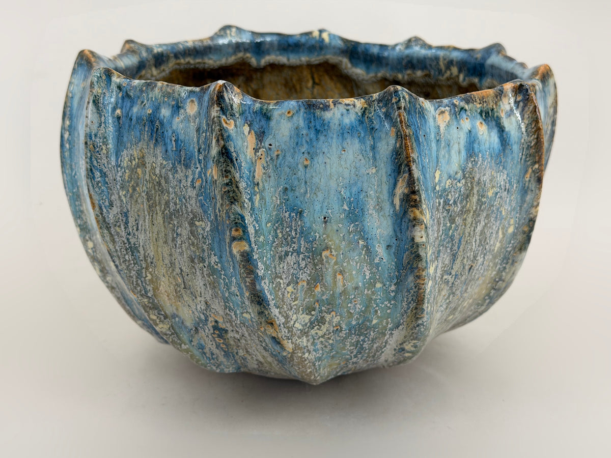 Gerippte Schale — Blau mit cremefarbenen Akzenten — Gesamtansicht, 2.
