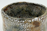 Chawan scuro con isole bianche — Veduta dell’interno, 4.