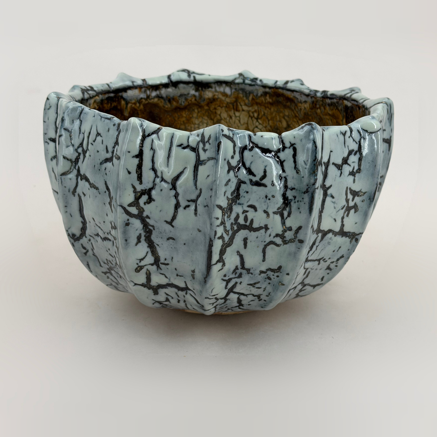 Ribbed bowl — blue-grey with a black network — Full view, 1.